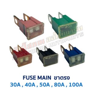 ฟิวส์ ฟิวส์เมน ตัวผู้ ขาตรง FUSE MAIN 30A 40A 50A 80A 100A